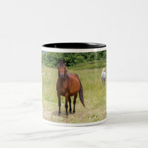 Two horses in a field Two-Tone coffee mug