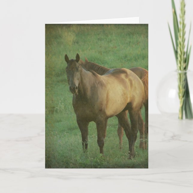 Two Horses in a Pasture all occasions Card (Front)