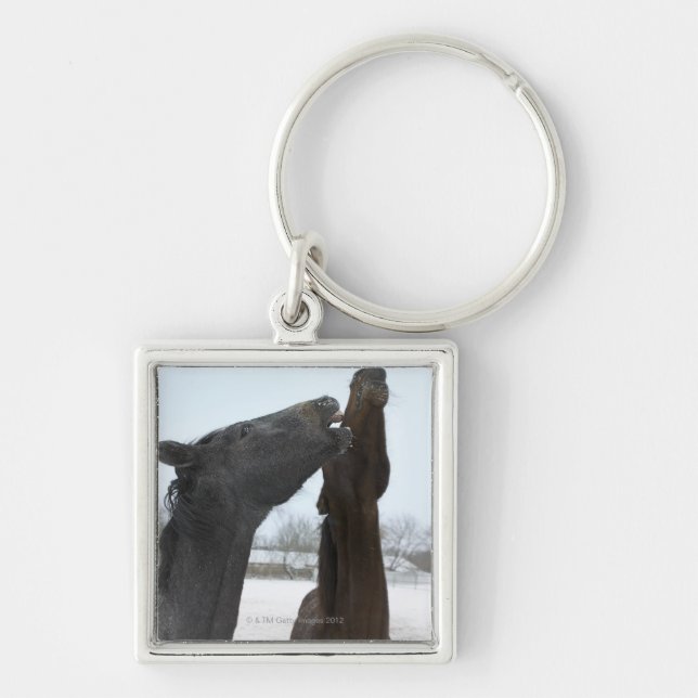 two horses neighing key ring (Front)