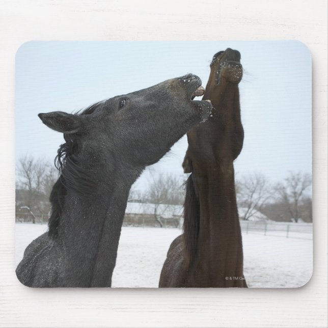 two horses neighing mouse pad (Front)