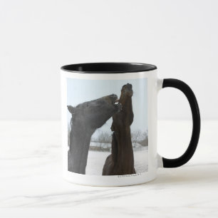 two horses neighing mug