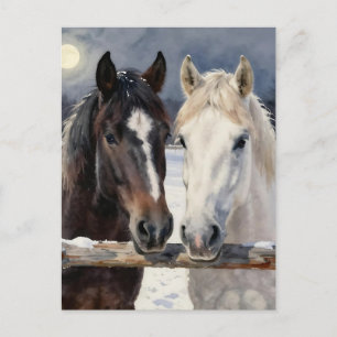 Two Horses on a Snowy Farm Keeping in Touch Postcard