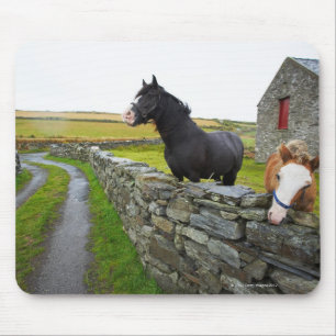 Two horses on farm in rural England Mouse Pad