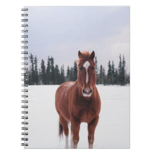 TWO HORSES ON SNOW NOTEBOOK