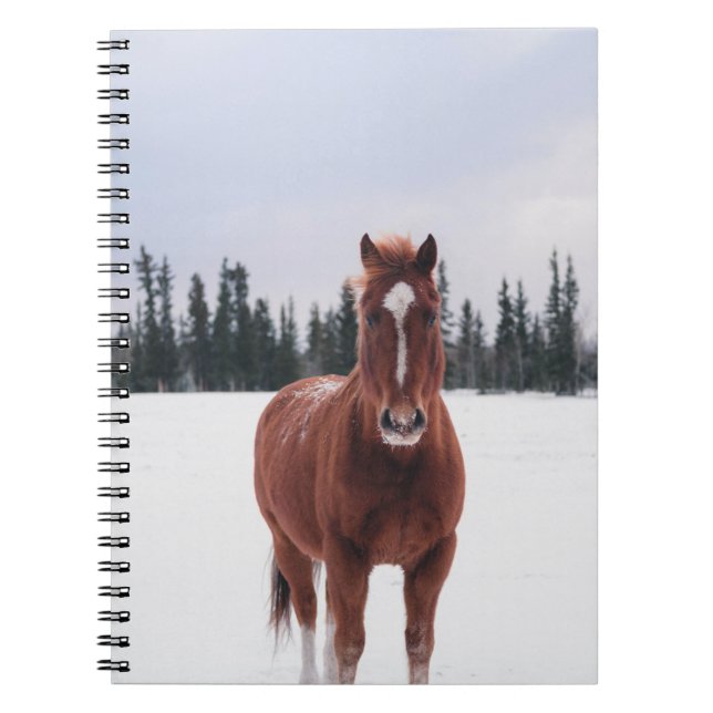 TWO HORSES ON SNOW NOTEBOOK (Front)