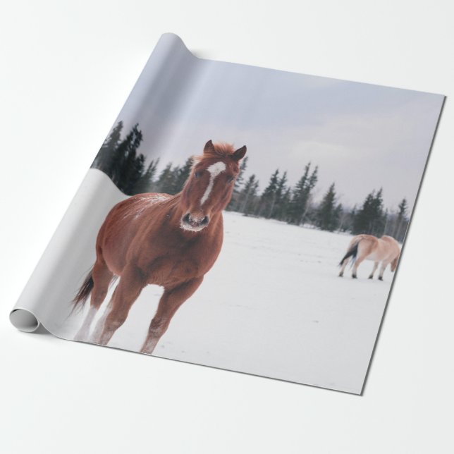 TWO HORSES ON SNOW WRAPPING PAPER (Unrolled)
