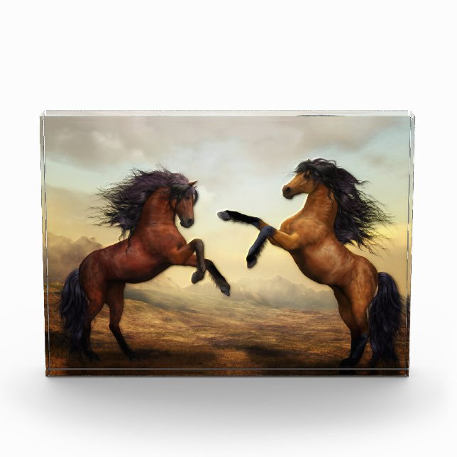 Two Horses Rearing Photo Block (Front)