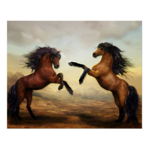 Two Horses Rearing Poster