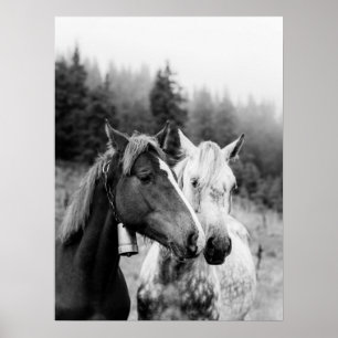 Two Horses Rustic Countryside Poster