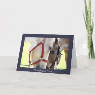 Two Horses Thinking of You Greeting Card