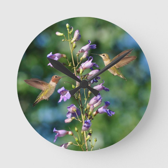 Two Hummingbirds In Flight With Flowers Wall Clock (Front)