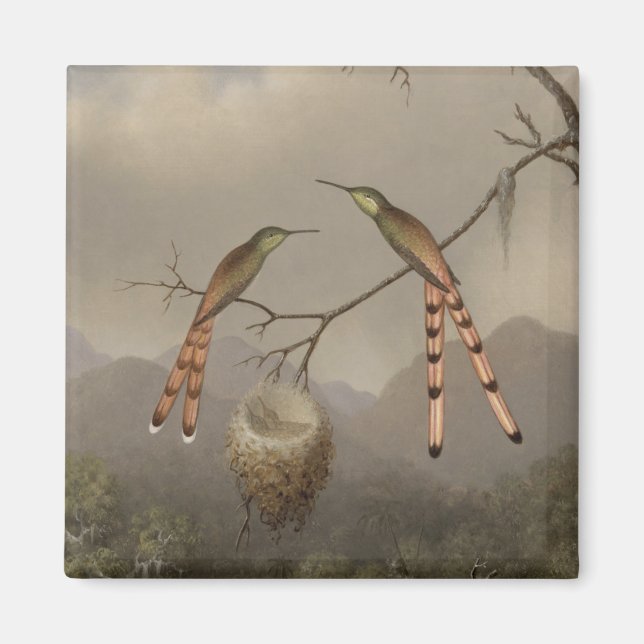 Two Hummingbirds with Their Young Magnet (Front)