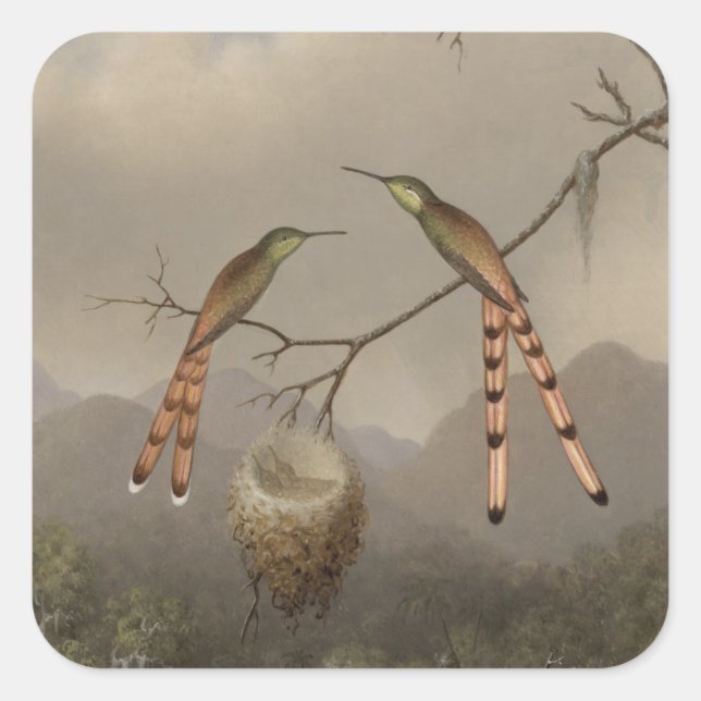 Two Hummingbirds with Their Young Square Sticker (Front)