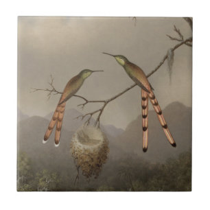 Two Hummingbirds with Their Young Tile