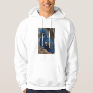 Two Hyacinth Macaws, Brazil Hoodie