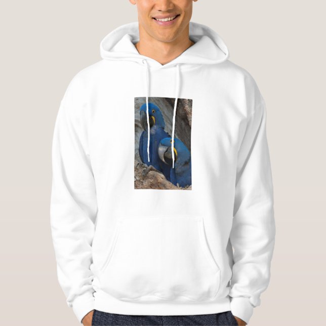 Two Hyacinth Macaws, Brazil Hoodie (Front)