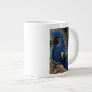 Two Hyacinth Macaws, Brazil Large Coffee Mug