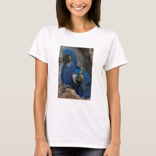 Two Hyacinth Macaws, Brazil T-Shirt (Front)