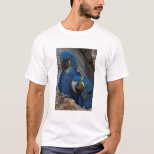Two Hyacinth Macaws, Brazil T-Shirt