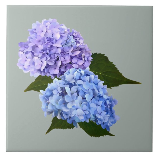 Two Hydrangea Lavender and Blue Ceramic Tile (Front)