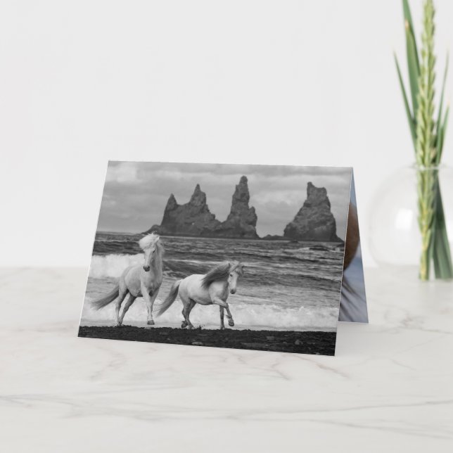Two Icelandic Horses Leap Horse Greeting Card (Front)