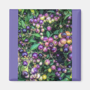 Two Inch Square Magnet