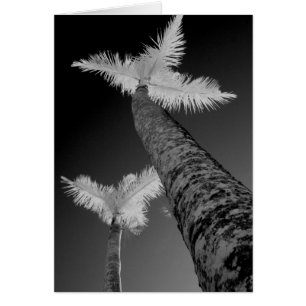 Two infrared palm trees.