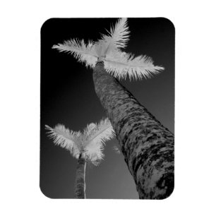 Two infrared palm trees. magnet