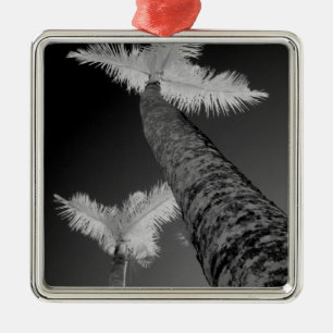Two infrared palm trees. metal ornament
