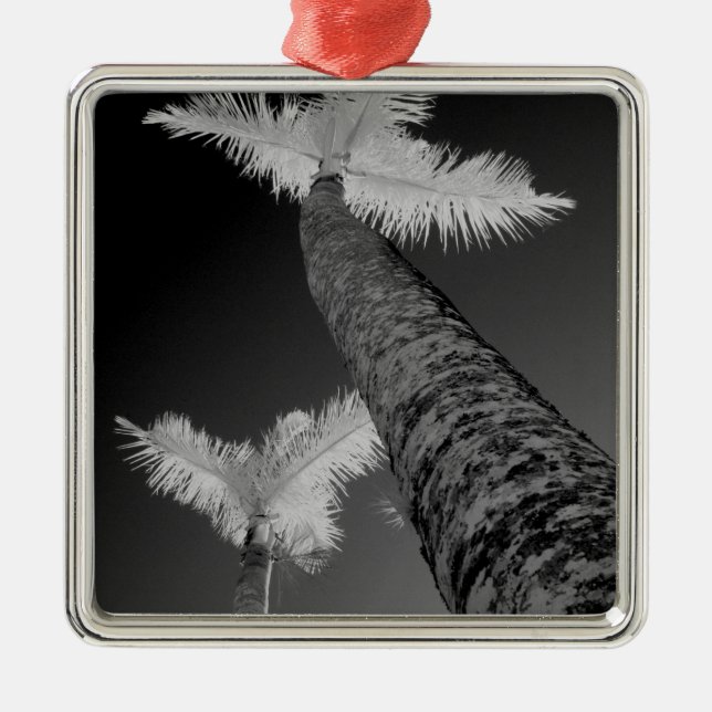 Two infrared palm trees. metal ornament (Front)