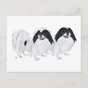 Two Japanese Chin Dogs Postcard