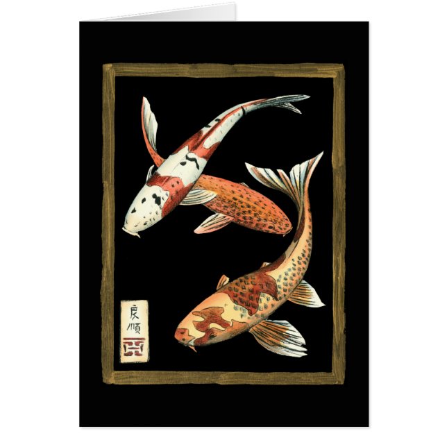 Two Japanese Koi Goldfish on Black Background (Front)
