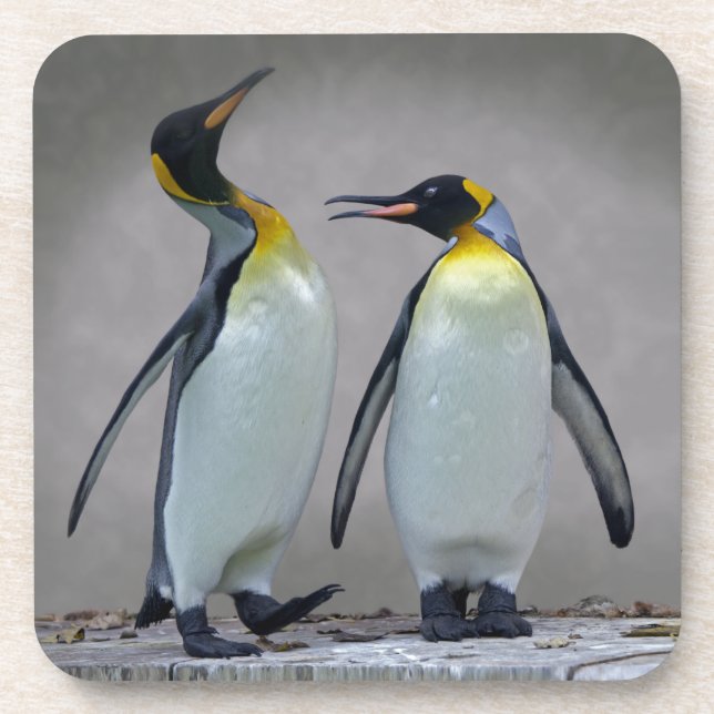 Two Kings Set of 6 Coasters (Front)
