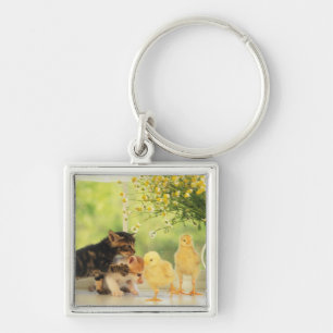 Two Kittens and Two Chicks Playing, Front View, Key Ring