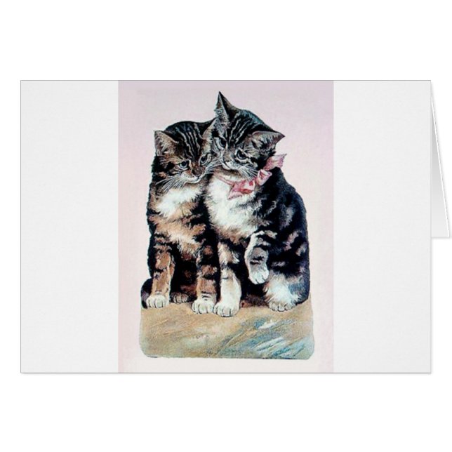 two kittens cats cute love adorable loving pets (Front Horizontal)