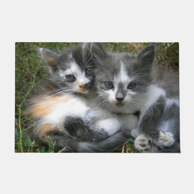 Two Kittens Doormat (Front)