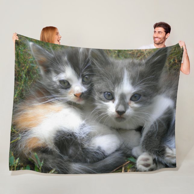 Two Kittens Fleece Blanket (In Situ)