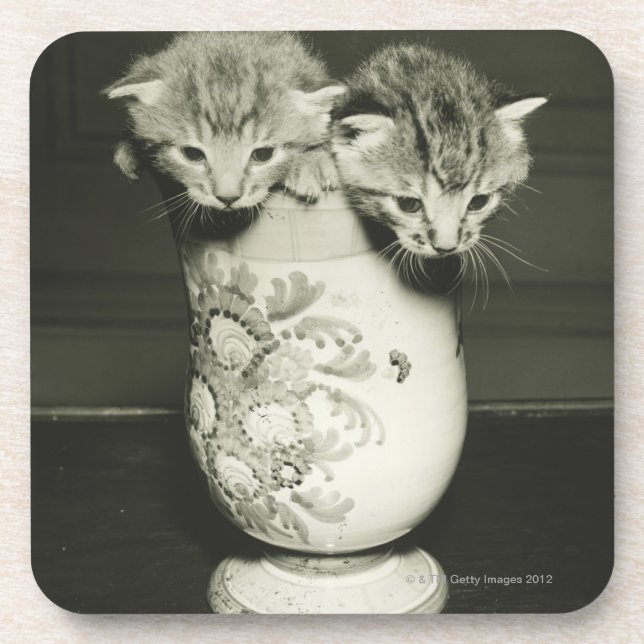 Two kittens hiding in vase, (B&W) Coaster (Front)