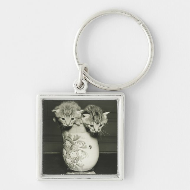 Two kittens hiding in vase, (B&W) Key Ring (Front)