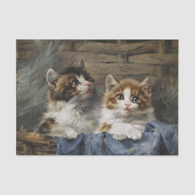Two Kittens in a Basket with Blue Cloth Tissue Paper (Front)