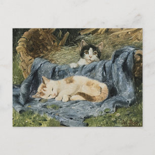 Two Kittens Julius Adam the Younger Postcard