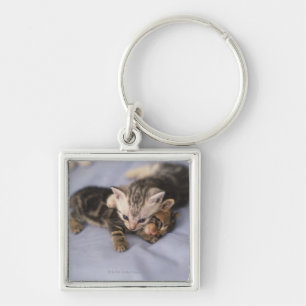 Two kittens key ring
