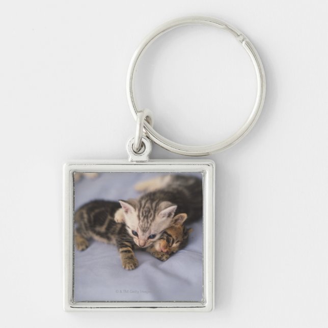 Two kittens key ring (Front)