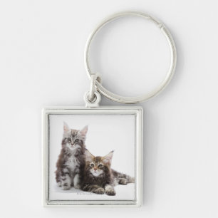 Two kittens of Maine coon cat Key Ring