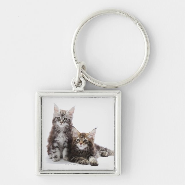 Two kittens of Maine coon cat Key Ring (Front)