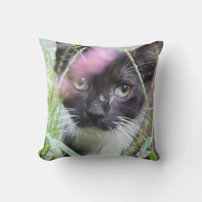 Two Kittens, One Pillow -Cat Lovers Throw Pillow (Front)
