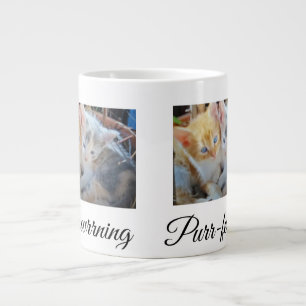 Two Kittens Photo Front, Back Heart Paw,  Large Coffee Mug