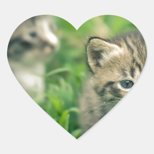 Two kittens playing in the grass heart sticker (Front)
