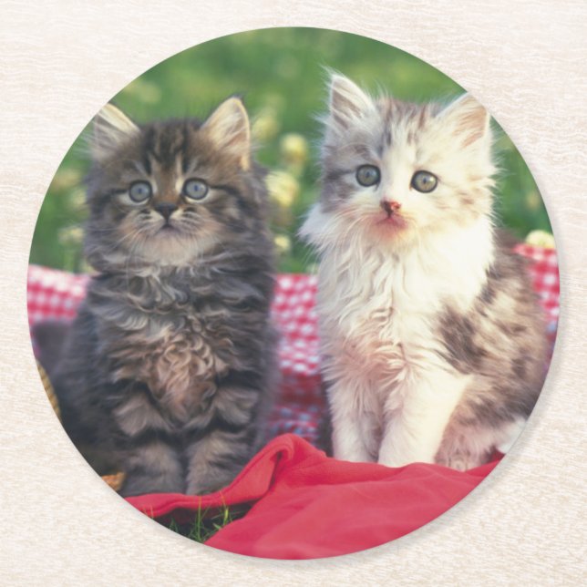 Two Kittens Sitting On A Red-Coloured Blanket Round Paper Coaster (Front)