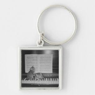 Two kittens sitting on piano keyboard by sheet key ring